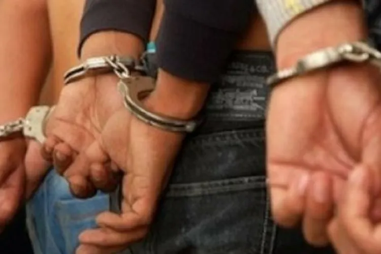 Reținuți pentru uciderea unui câine, noaptea ca tâlharii, în curtea unei case