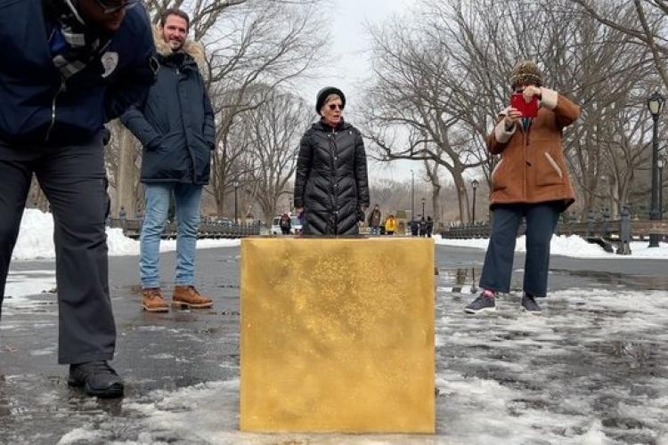 Cub de aur în valoare de peste 11 milioane de dolari, lăsat într-un parc public