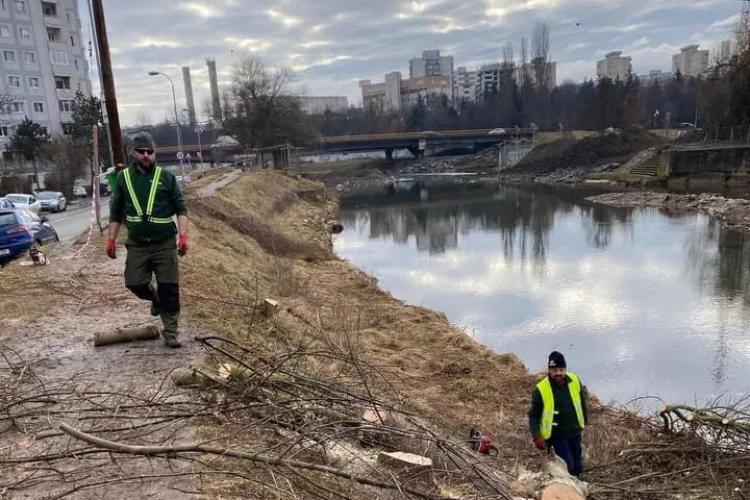 Boc tras la răspundere de activiștii de mediu. ONG-iști: Cerem Primarului să explice de ce e necesar să fie tăiați copacii de pe malul Someșului