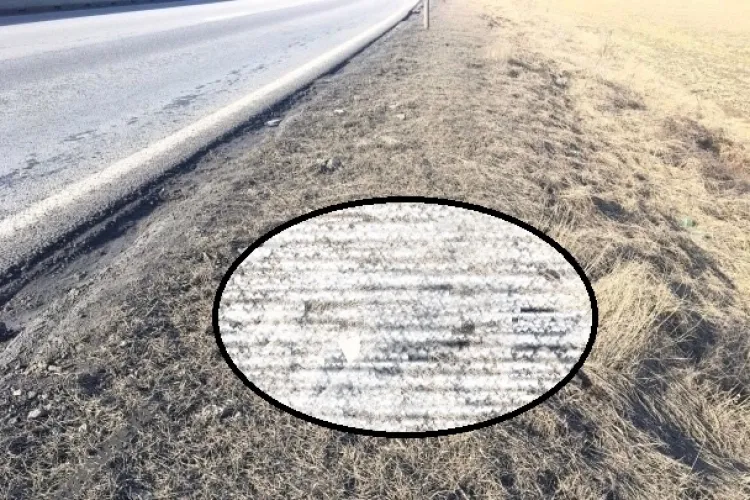 Scene macabre pe drumul european Cluj-Turda. De două luni autoritățile locale nu au trimis compania de salubritate să ridice hoiturile