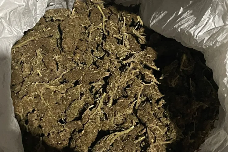 Trafic cu cannabis și droguri de mare risc în Cluj. Doi tineri clujeni au fost prinși în flagrant - FOTO