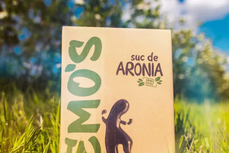 Sucul Aronia, eficient împotriva infecțiilor virale inclusiv COVID. Zemo's, unul dintre cei mai mari producători, din vestul României - Studiu