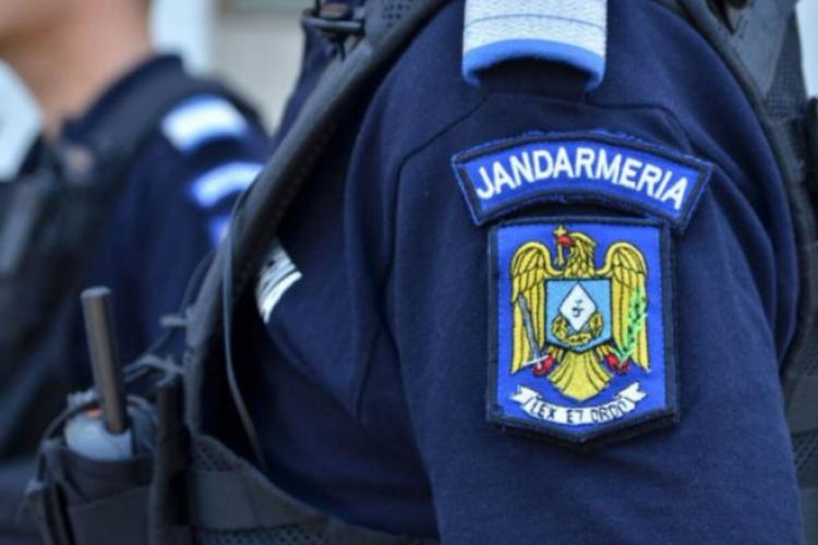 Caz revoltător! Doi jandarmi din Cluj au fost bătuți cu bestialitate și puși pe fugă de bărbați care tăiau ilegal brazi în pădure - VIDEO