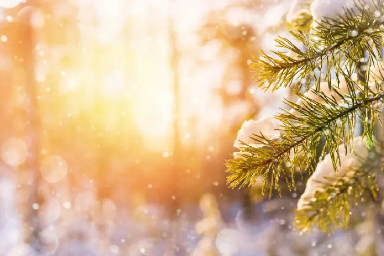 Prognoza meteo 31 ianuarie - 13 februarie 2022. Ce precipitații vom avea în următoarele două săptămâni