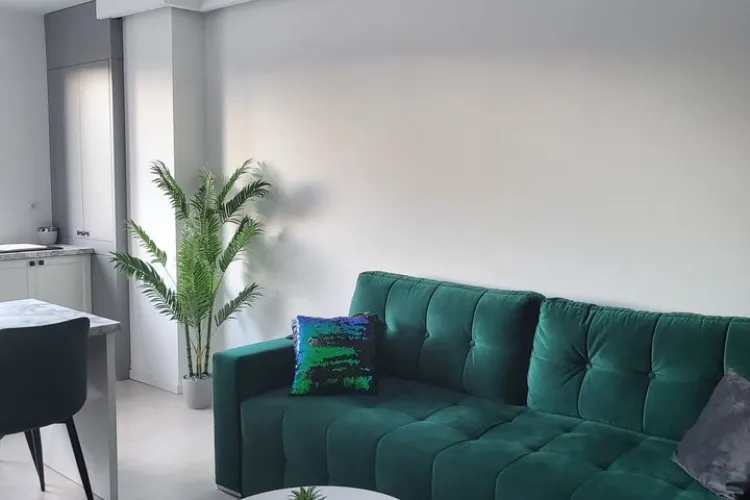 Replica primită de un clujean șocat de o chirie de lângă VIVO Cluj: ”Lucrezi în domeniul greșit, prietene…”