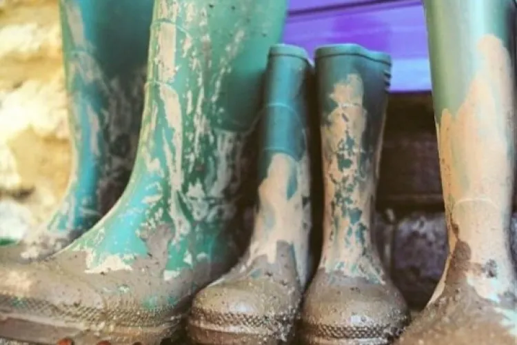 Sătui de noroaie, clujenii cer asfalt pe străzile adiacente Edgar Quinet. Boc: Ați știut unde vă cumpărați casă