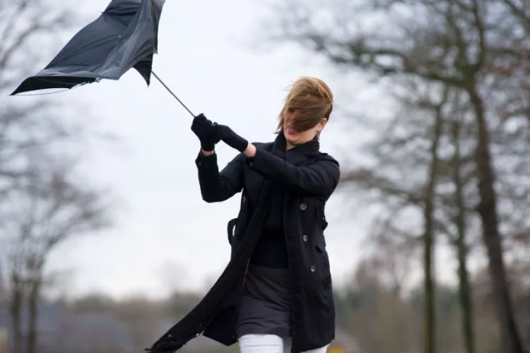 ATENŢIE! COD GALBEN de vânt puternic în judeţul Cluj. Rafalele de vânt vor depăşi 65 km/h