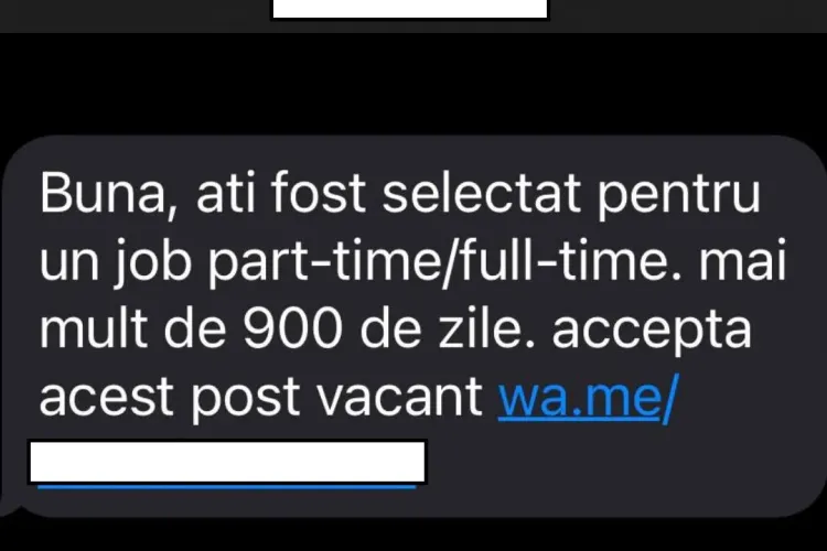 O nouă țeapă pe internet te poate lăsa fără bani. Experți în securitate cibernetică: Atenţie la mesajele, care prezintă oportunităţi de angajare!
