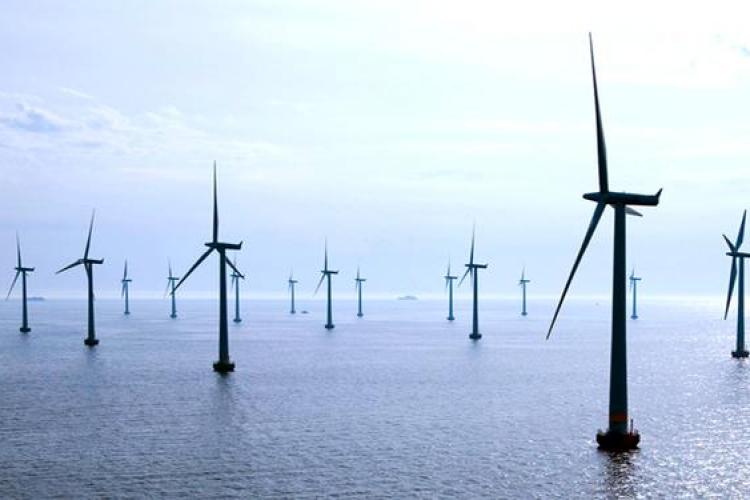 Germania vrea să construiască un parc eolian gigant în Marea Neagră. România va beneficia