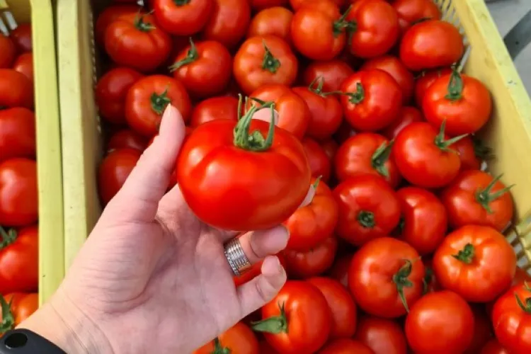 Criza facturilor face ravagii și în sectorul agricol, se scumpesc legumele! Primele roșii românești ar putea costa dublu în această primăvară