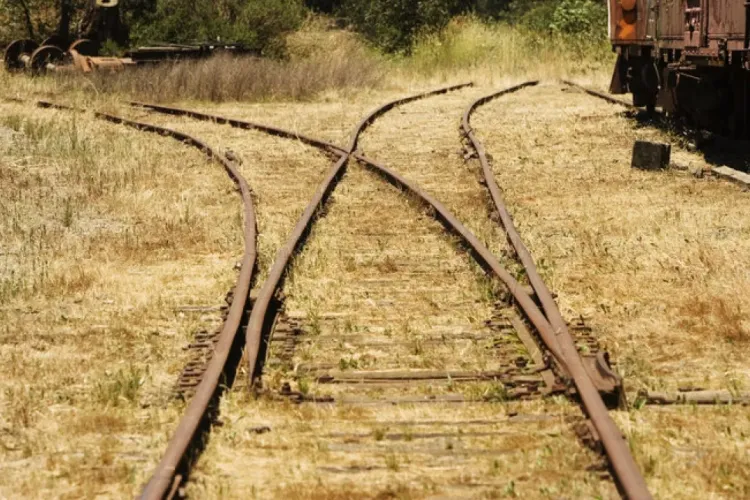 Căile ferate din Ucraina au oferit Forțelor Armate 20 de vagoane frigorifice pentru a îngheța cadavrele invadatorilor uciși