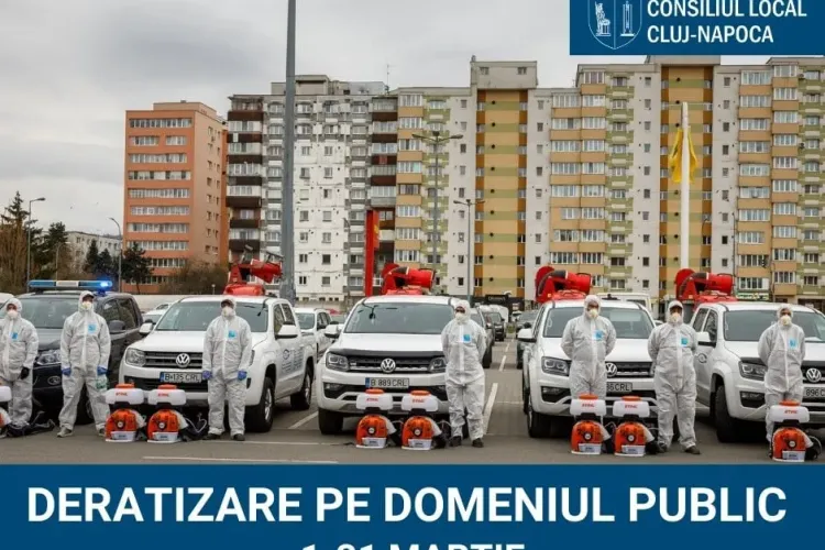Deratizare făcută în Cluj-Napoca de compania Coral Impex SRL - FOTO
