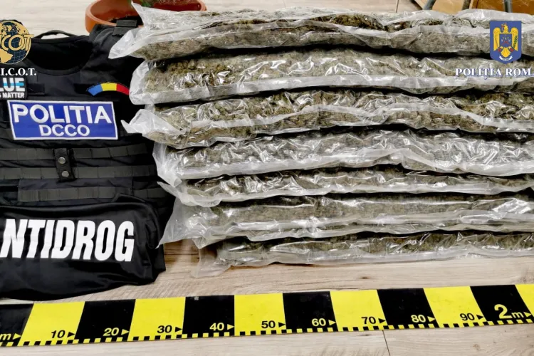 FOTO-Doi clujeni, reținuți de IPJ Alba pentru trafic de droguri. Au fost prinși cu opt kilograme de cannabis primite printr-o firmă de curierat