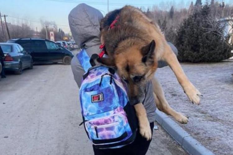 O femeie din Ucraina a călătorit 17 kilometri cu câinele său bătrân pe umăr: „Nu l-am putut abandona. Face parte din familie”