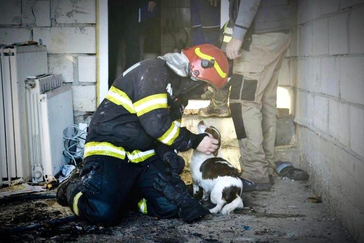 Imaginea zilei la Cluj. După o zi de intervenții fără victime, pompierii clujeni se bucură de un prieten patruped găsit în timpul misiunii- FOTO