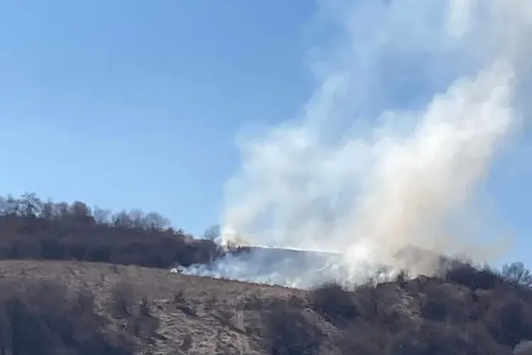 Când ești prost de mic… A dat foc la un deal în Florești și se luptă să stingă focul cu bluza - FOTO