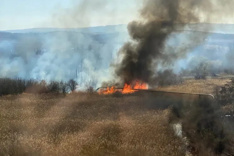 VIDEO -  Imagini terifiante cu incendiul izbucnit în parcul stufăriș din cartierul Între Lacuri. Ce spun locuitorii despre flăcările colosale 