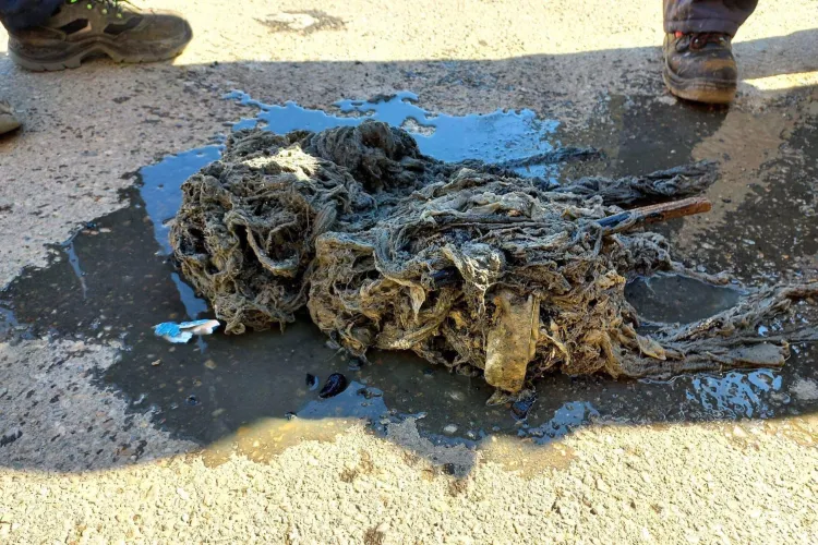 Descoperirile făcute într-o canalizare din Cluj. Oamenii uită că toaleta nu este tomberon?!