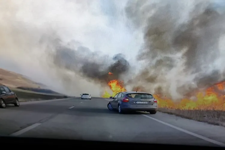 Arde Centura Vâlcele - Apahida. Flăcările au ”mușcat” din drum - VIDEO și Galerie FOTO