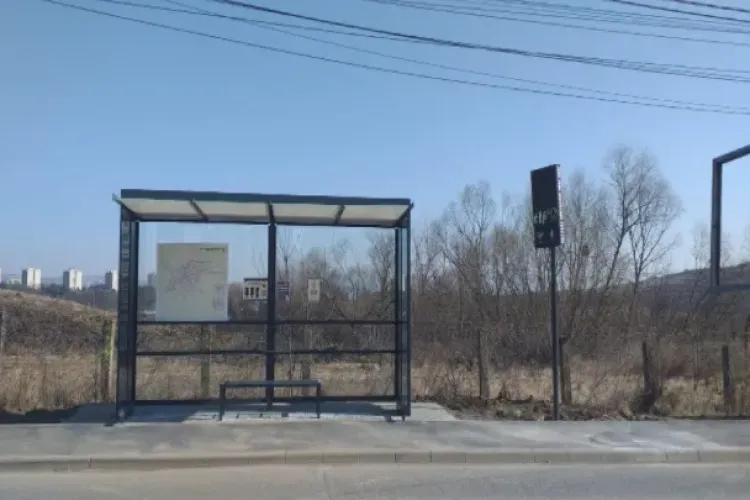 Cursele liniei 20 (Borhanci - Centru) au fost dublate