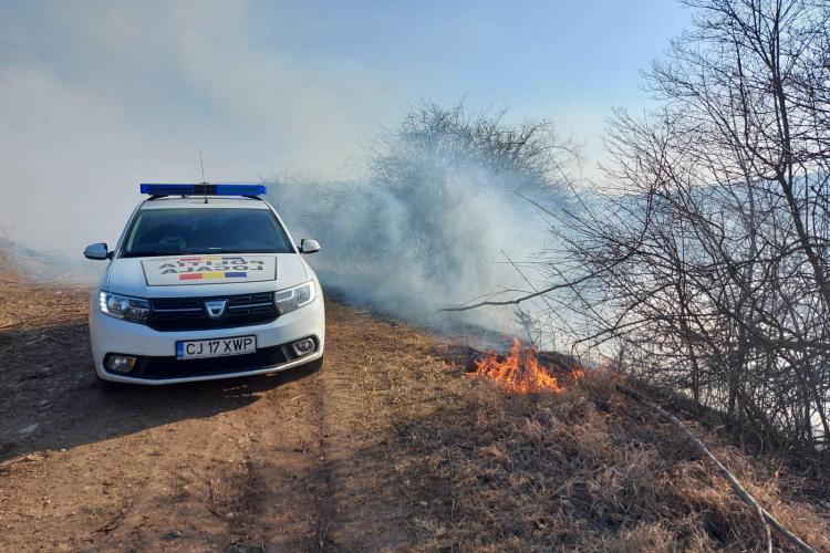 Piroman cercetat penal, după ce era să dea foc pădurii Făget - FOTO