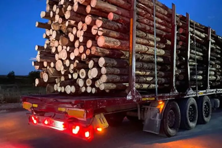 Guvernul a interzis transporturile de lemne din pădure pe timp de noapte 