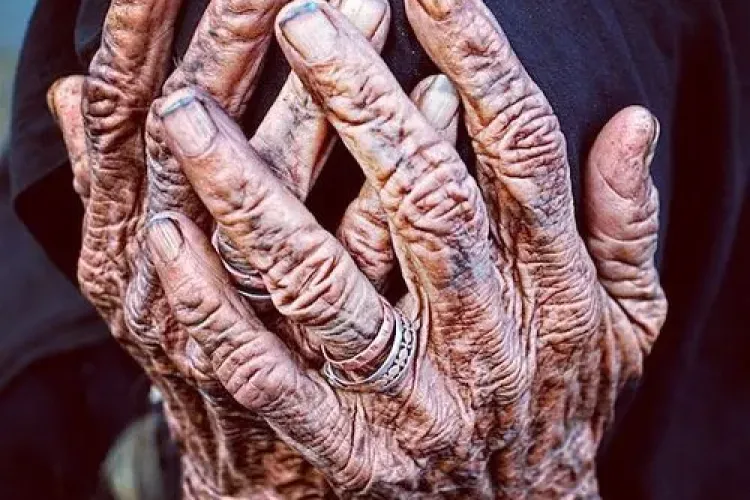 O femeie de 93 de ani, sfâşiată de câini la o fermă piscicolă, găsită complet dezbrăcată de unul dintre paznici