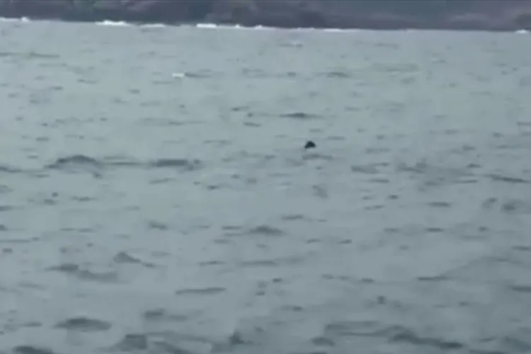 Alertă maximă la Marea Neagră: Încă o mină plutitoare descoperită în derivă