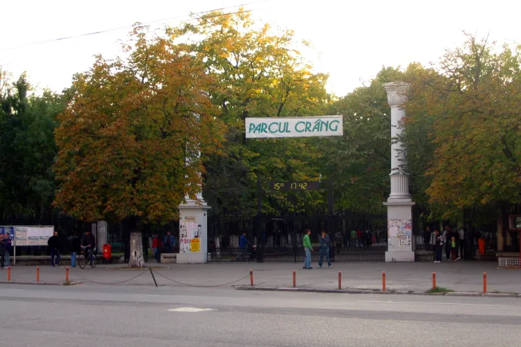 O grămadă cu peste 100 de pisici moarte a fost descoperită într-un parc 