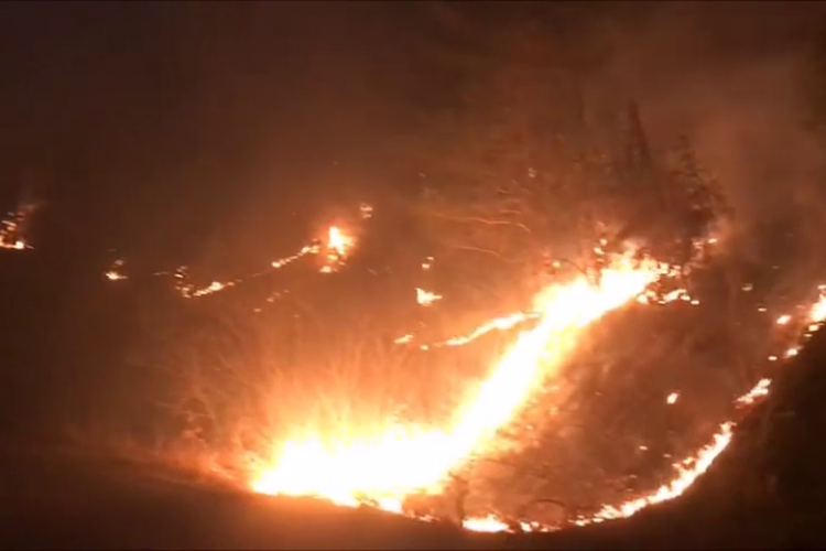 Cluj - VIDEO / Arde pădurea la Băișoara, din cauza inconștienților care au dat foc la vegetația uscată