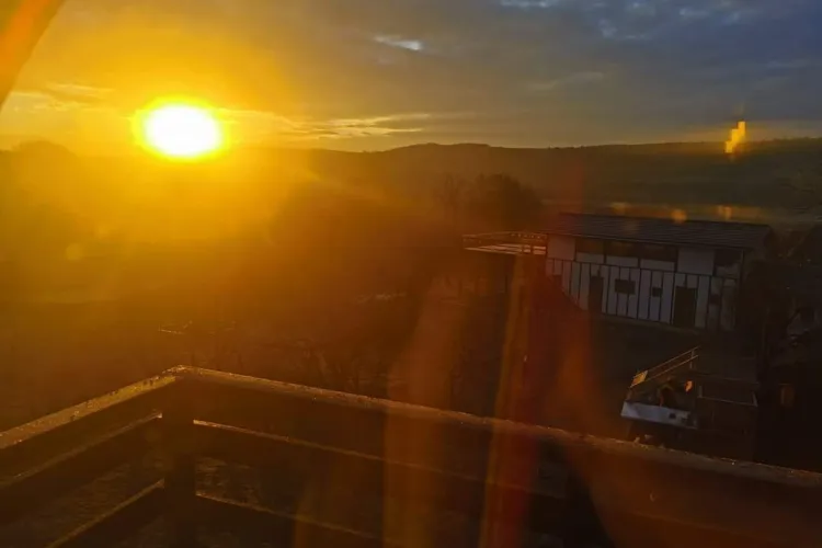 Poveste frumoasă cu 2 familii din Ucraina, ajutate la tot pasul în Ținutul Secuiesc: Am reușit să punem omenia mai presus de naționalitate