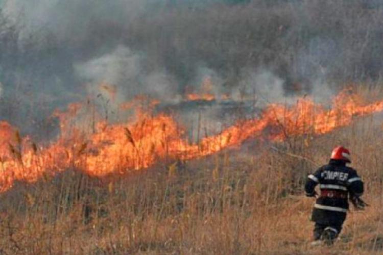 Descoperire macabră: Trupul carbonizat al unui bărbat, găsit de pompieri în urma unui incendiu de vegetație