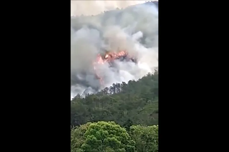 Avion cu 133 de oameni, prăbușit în China - VIDEO      