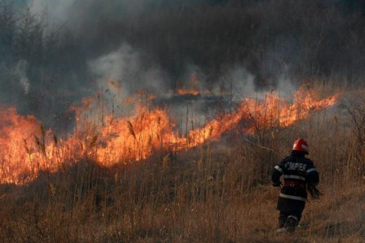Pompierii clujeni au stins peste 50 de incendii de vegetație în ultimele trei zile. Ce reguli trebuie să respecți ca să nu pui în pericol viața oamenilor