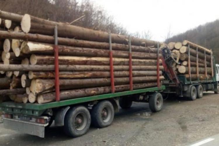 Amenzi de peste 600.000 de lei de la Garda Forestieră Cluj, pentru hoții de lemne