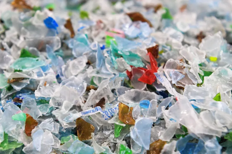 STUDIU - Au fost descoperite, pentru prima dată, microparticule de plastic în sângele unor pacienți 