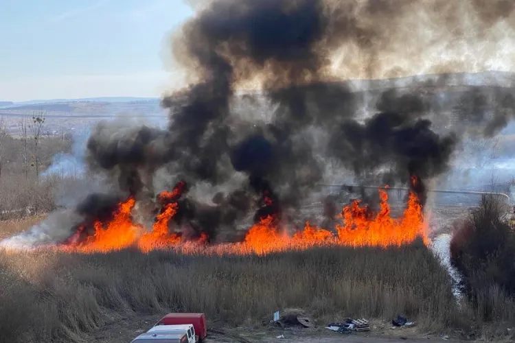 Mesaj Ro-Alert trimis în Cluj. Cei care dau foc vegetației riscă amenzi mari