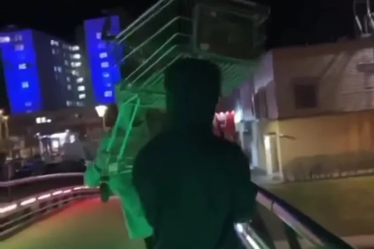 VIDEO: Noaptea minții! Momentul în care doi tineri aruncă într-un râu un coş de cumpărături. Polițiștii au deschis o anchetă