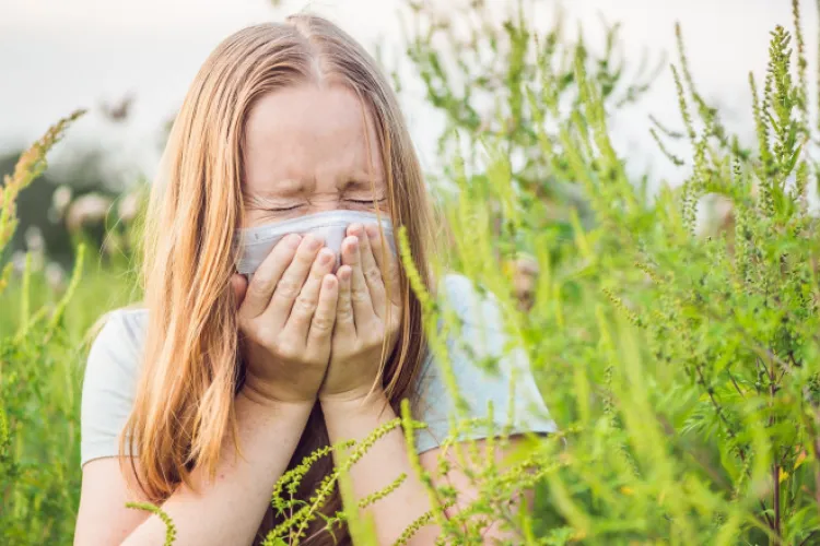 Amenzi uriașe pentru proprietarii care nu elimină ambrozia de pe terenurile lor. „Iarba pustiei” provoacă alergii severe