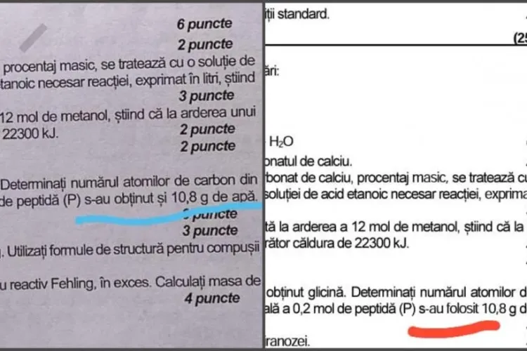 Sistemul educațional din România lovește din nou. Ce greșeală au observat elevii la proba de chimie organică la simularea de anul acesta