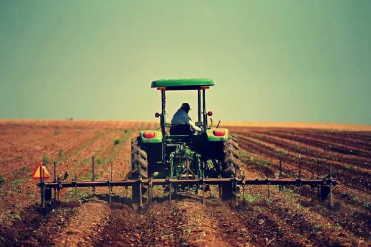 Primăvara secetoasă compromite culturile de toamnă. Fermierii se roagă pentru o picătură de apă