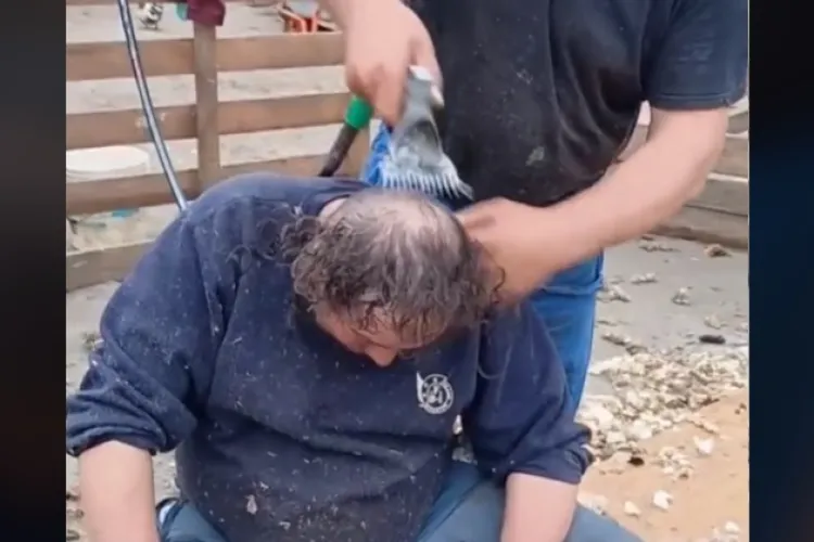 Cum îi tunde un cioban pe săteni cu mașina de tuns oi - VIDEO