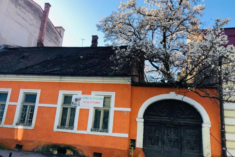 Renumita „Casă cu magnolii” a Clujului a fost scoasă la vânzare. Prețul casei este direct proporțional cu frumusețea copacului din curtea sa