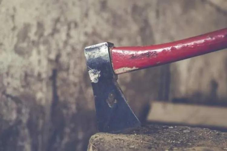 Două femei au pus la cale un asasinat după ce s-au îndrăgostit una de cealaltă. Victima, iubitul uneia dintre ele, s-a ales cu un topor în cap