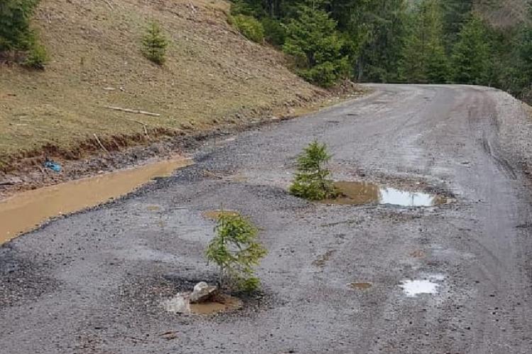 Dezastru pe un drum care leagă judeţele Alba şi Cluj, după reabilitarea din toamnă. Localnică: „Mulţumim pentru gropi, noi am făcut plantaţie de brazi”