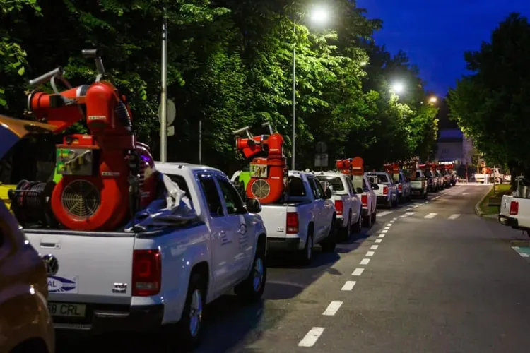 Cluj-Napoca: O nouă campanie de dezinsecție pe domeniul public