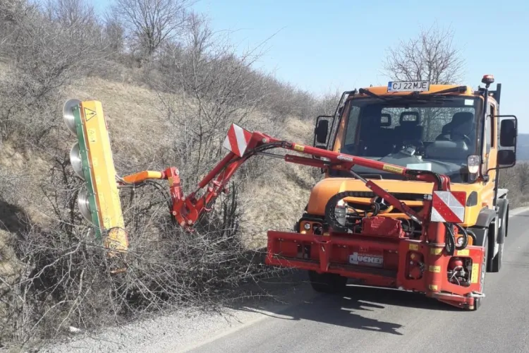 Alin Tișe toaletează arborii de pe drumurile din județ cu scule ca în Austria - FOTO
