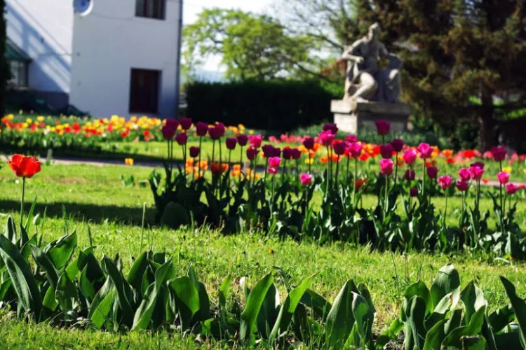 Grădina Botanică din Cluj-Napoca și-a schimbat programul, acum fiind valabil cel de vară. Astăzi, intrare gratuită pentru cei sub 35 de ani