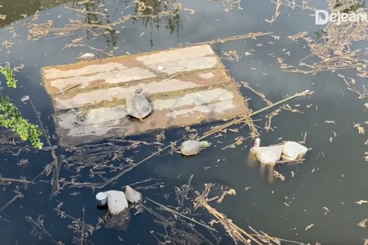 VIDEO - Parcul „Balta” din orașul Dej, plin de mizerii. Locuitorii s-au săturat de mizeria din parcul amenajat de curând 