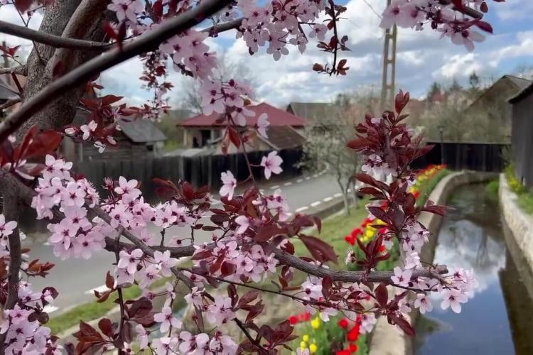 Satul Sâncraiu, „diamantul” turistic al Clujului: Ar fi fain să fie așa toate satele din țara asta - VIDEO